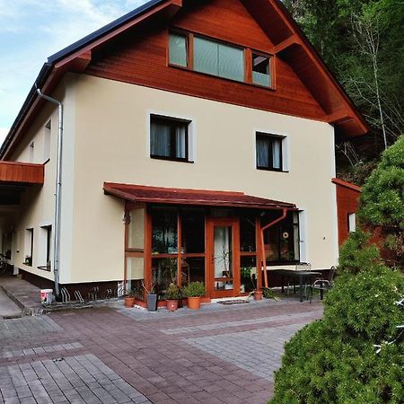 Seeblick Krippenstein Obertraun Buitenkant foto