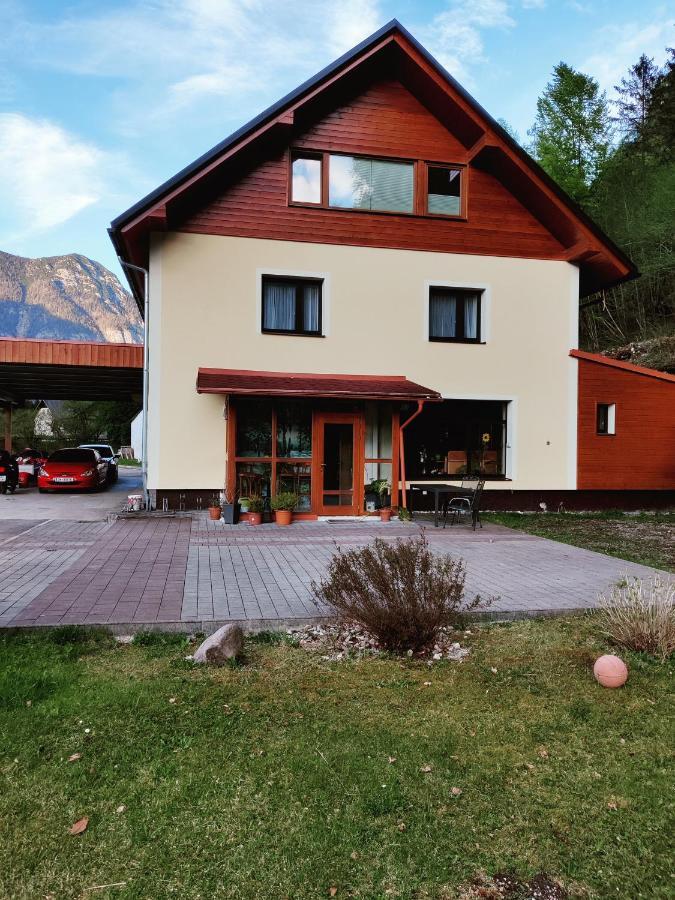 Seeblick Krippenstein Obertraun Buitenkant foto
