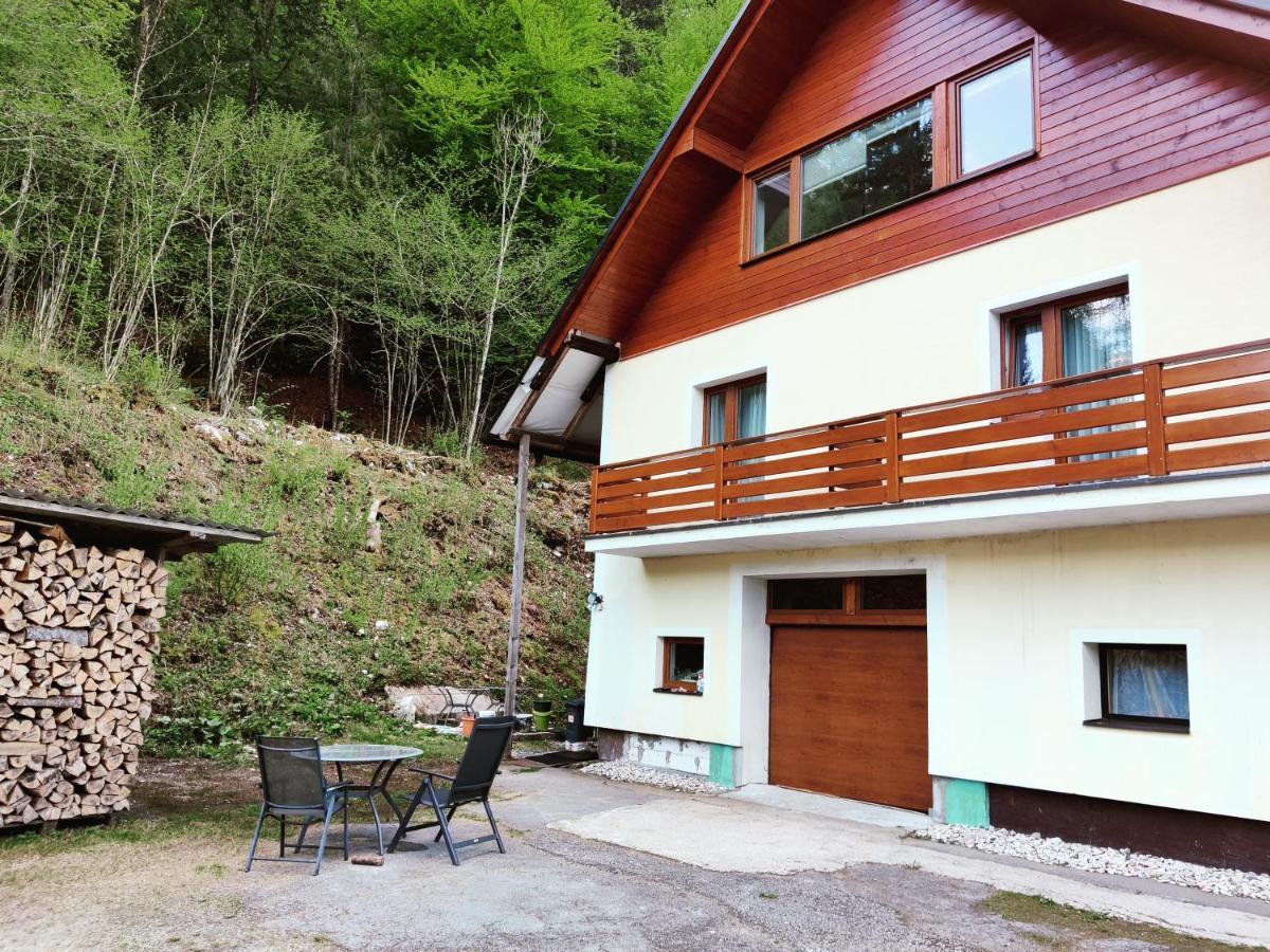 Seeblick Krippenstein Obertraun Buitenkant foto