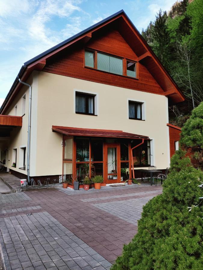Seeblick Krippenstein Obertraun Buitenkant foto